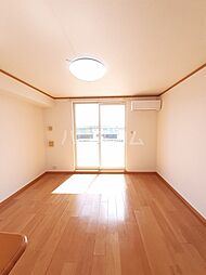 シーダープレイン 202