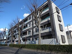 京王線 多磨霊園駅 徒歩12分の賃貸マンション