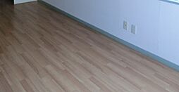 下坂ハイツ 2D 2階ワンルームの室内