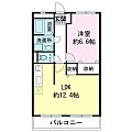 LATTE外原館1階6.2万円