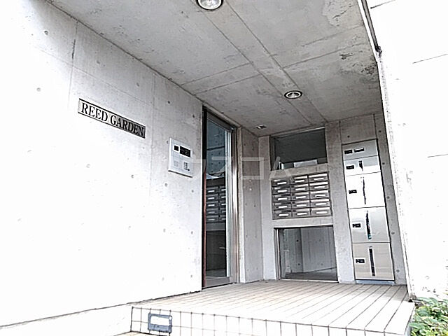 5 / 11