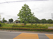 【公園】今泉中央公園まで291ｍ
