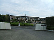 【小学校】浜松市立富塚小学校まで1259ｍ