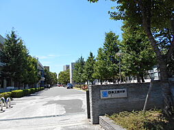 [周辺] 【大学】日本工業大学まで741ｍ