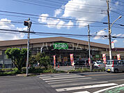 【スーパー】コープみらい コープ新所沢店まで261ｍ