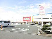 【スーパー】フィール EQVoとよはし店まで701ｍ