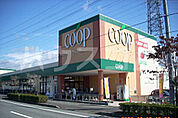 【スーパー】ユーコープ 桜づつみ店まで1764ｍ