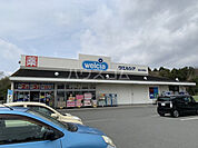 【ドラッグストア】ウエルシア　富士中野店まで815ｍ