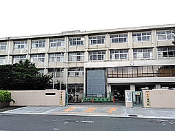 [周辺] 【高校】神奈川県立橋本高等学校 まで1349ｍ