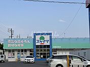 【ドラッグストア】ドラッグスギヤマ 岡崎中町店まで1318ｍ