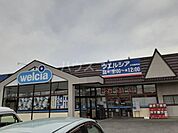 【ドラッグストア】ウエルシア　太田藪塚店まで2591ｍ