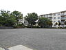 周辺：【公園】南長津田公園まで987ｍ