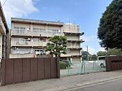 【小学校】松戸市立大橋小学校まで250ｍ