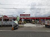 【ホームセンター】ユニディ曽谷店まで1234ｍ