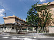 【小学校】相模原市立くぬぎ台小学校まで386ｍ