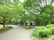 【公園】芹ケ谷公園まで662ｍ