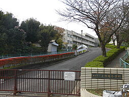 [周辺] 【小学校】横浜市立 上寺尾小学校まで688ｍ