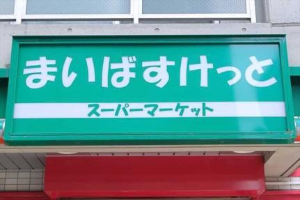 セントポーリア八番館 905｜北海道札幌市中央区南六条西７丁目(賃貸マンション1K・9階・29.16㎡)の写真 その18