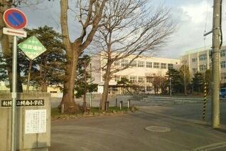 画像11:幌南小学校(小学校)まで263m