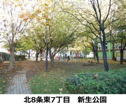 画像17:新生公園(公園)まで216m