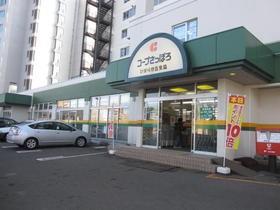 北海道札幌市厚別区厚別南２丁目(賃貸マンション3LDK・4階・82.41㎡)の写真 その17