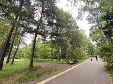 ミ・ピアーチェ学園前 301｜北海道札幌市豊平区豊平八条８丁目(賃貸マンション1DK・3階・32.18㎡)の写真 その24