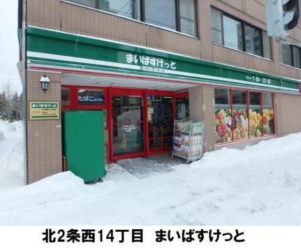 クラッセ知事公館前 01101｜北海道札幌市中央区北二条西１３丁目(賃貸マンション2LDK・11階・36.25㎡)の写真 その17