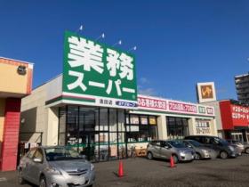 レオパレスオールドリバー清田 201 ｜ 北海道札幌市清田区清田二条３丁目（賃貸アパート1K・2階・23.18㎡） その25