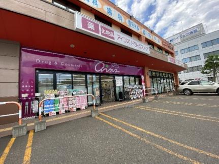 画像18:アインズ豊平東光店(その他周辺施設)まで210m