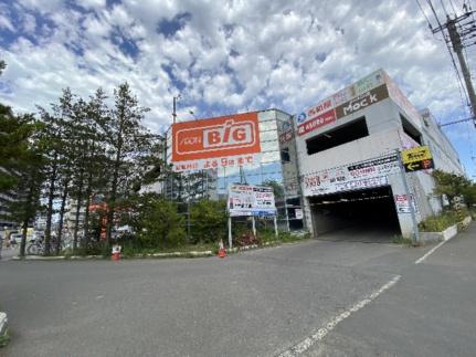 画像17:マックスバリュ北海道（株）／ザ・ビッグ豊平店(スーパー)まで97m