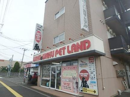 松下ハイツ 301｜北海道札幌市白石区本通４丁目北(賃貸マンション1R・3階・18.00㎡)の写真 その20