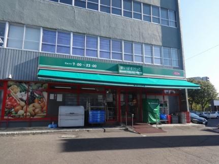 ビブレ琴似 402｜北海道札幌市西区二十四軒四条４丁目(賃貸マンション1DK・4階・29.52㎡)の写真 その17