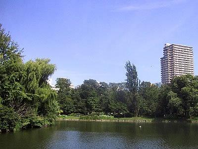 イリオス中島公園 301 ｜ 北海道札幌市中央区南十四条西１丁目（賃貸マンション1LDK・3階・35.26㎡） その18