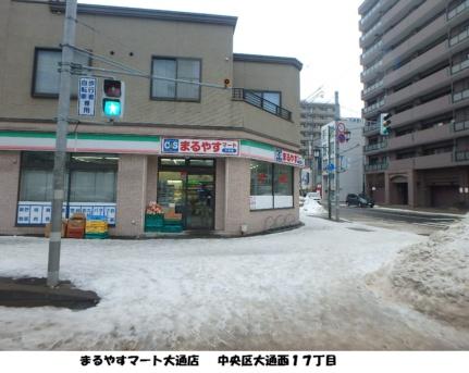 札幌レジデンス知事公館 1002｜北海道札幌市中央区北一条西１６丁目(賃貸マンション1LDK・10階・30.80㎡)の写真 その18