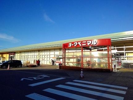 画像13:ヨークベニマル大田原店(スーパー)まで1100m