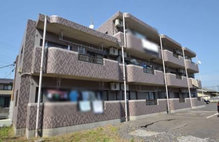 ミレニアムマンション 302｜栃木県塩谷郡高根沢町大字宝積寺(賃貸マンション2LDK・3階・54.14㎡)の写真 その1