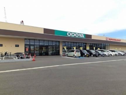 画像14:おどや江川店(スーパー)まで500m