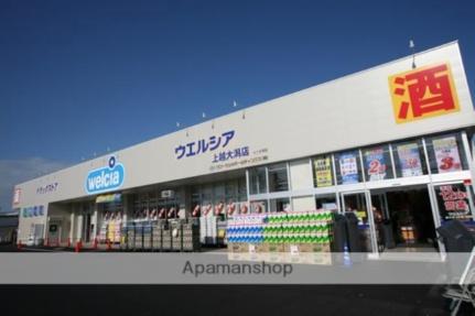 画像17:ウェルシア上越大潟店(ドラックストア)まで950m