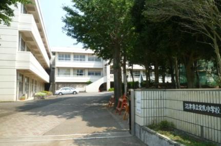 画像15:愛鷹小学校(小学校)まで3566m