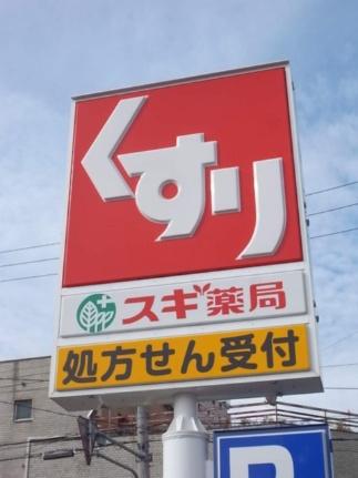 画像16:スギ薬局金山北店(ドラックストア)まで297m