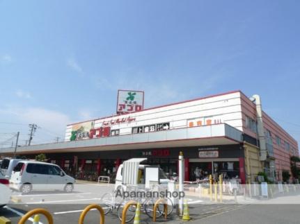画像17:食品館アプロ堺水池店(スーパー)まで346m
