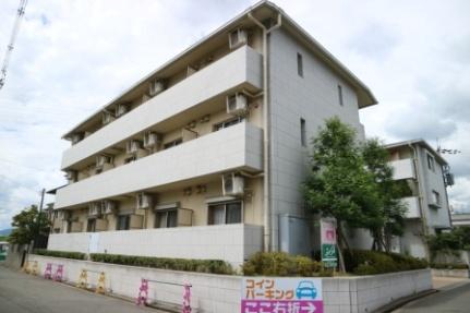 大阪府枚方市渚西１丁目(賃貸マンション1K・3階・25.20㎡)の写真 その1