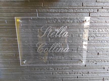 ｓｔｅｌｌａ　ｃｏｌｌｉｎａ 202号室｜大阪府寝屋川市大谷町(賃貸アパート1LDK・2階・30.64㎡)の写真 その24