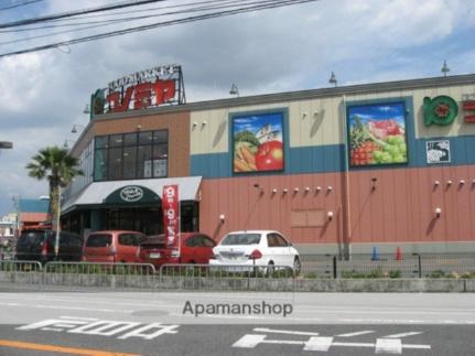 画像15:コノミヤ高槻店(スーパー)まで246m