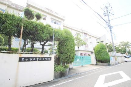 画像17:千成小学校(小学校)まで1348m