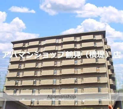 レジョンドールツルミリョクチ ｜大阪府大阪市鶴見区横堤３丁目(賃貸マンション3LDK・8階・55.00㎡)の写真 その1