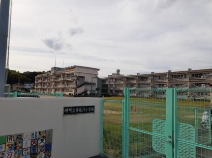 周辺：岬町立多奈川小学校様(小学校)まで353m