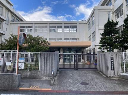 画像13:城東小学校(小学校)まで897m