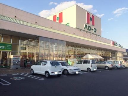 画像18:ハローズ円山店(スーパー)まで602m