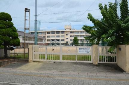 画像13:岡山市立西大寺中学校(中学校)まで377m